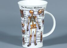 DUNOON THE HUMAN BODY Bone China GLENCOE Mug picture