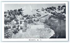 c1910's Bird's Eye View Of Olcott New York NY Unposted Antique Postcard picture