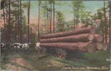 Logging Scene near Hattiesburg Mississippi 1912 Postcard picture