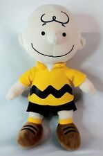 Peanuts Charlie Brown 13