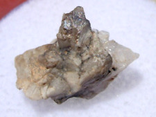 .801 grams Sebkha el Melah 001 Meteorite Enstatite achondrite (Aubrite) with COA picture