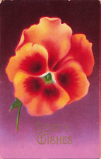 Postcard Greeting Friendship Best Wishes Orange Flower Early 1900s picture