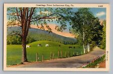 Indiantown Gap Pennsylvania PA Farm Road Cows Curt Teich Linen Postcard 1938 picture