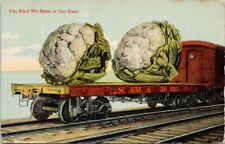 Exaggerated Cauliflower on Train 'Kind We Raise In Our State' c1913 Postcard F89 picture