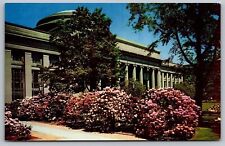 Cambridge Massachusetts MIT Campus Great Court Flowers Chrome Postcard picture