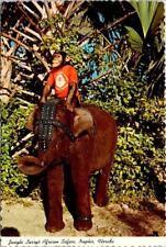 Naples, FL Florida JUNGLE LARRY'S AFRICAN SAFARI Animal Park CHIMP 4X6 Postcard picture