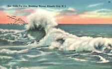 Postcard NJ Atlantic City Seagulls Dip over Breaking Waves 1960 Vintage PC H9903 picture