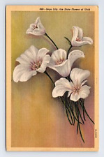 c1948 Linen Postcard UT Utah Scego Lily State Flower picture