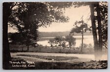 Lake Through the Trees Lakeville Connecticut CT c1910 Postcard picture