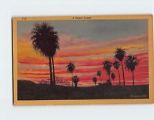 Postcard A Desert Sunset picture