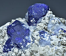230 Gm Lazurite Crystals W/ Pyrite Fluorescent Forsterite & Phlogopite On Matrix picture