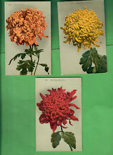 c. 1910 ANTIQUE POSTCARDS - LOT OF 3 - CHRYSANTHEMUMS - UNPOSTED picture