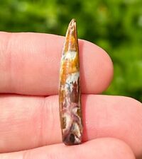 NICE Pterosaur Tooth from Niger Fossil Flying Dinosaur Tooth 1.25” Cretaceous picture