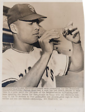 MLB Baseball San Francisco Giant Legend Felipe Alou Portrait 1963 Photo 483 picture