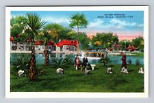 Ocala FL-Florida, Silver Springs, Antique, Vintage Postcard picture