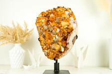 World-Class XL Citrine Flower Crystal Geode, with AAA Citrine Druzy - 16 Kg - 35 picture