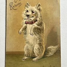Antique Embossed Postcard Adorable Dog With Envelope Happy Returns Germany picture