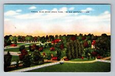 Typical Blue Grass Stock Farm In Old Kentucky Vintage Souvenir Postcard picture