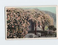 Postcard A Home Of Roses California USA picture