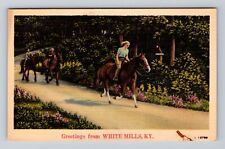 White Mills KY-Kentucky, Scenic Greetings Path, Antique, Vintage Postcard picture