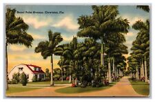 Clewiston FL Florida Royal Palm Avenue Linen Postcard Posted 1950 picture