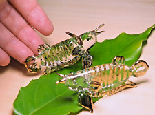 2 pcs. Arowana / Dragon Fish figurine hand blown art glass gold trim 2.5