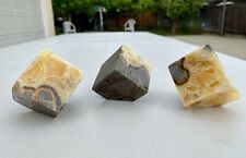 Polished Septarian Aragonite Calcite Limestone Crystal Cubes 2