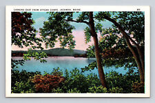 WB Postcard Jackman ME Maine Attean Camps Looking East picture