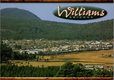 Williams Arizona Brid's Eye View Downtown Forested Hills picture