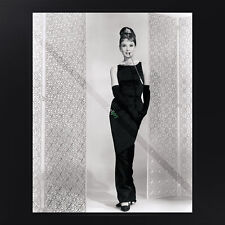 Audrey Hepburn 031 | 8 x 10 Photo | Celebrity Actress, Beautiful Woman picture