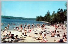 Sebec Lake Beach Dover Foxcroft Maine Lakefront Shore Forest Vintage Postcard picture