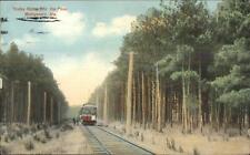 Montgomery AL Trolley Riding in the Pines c1910 Postcard picture