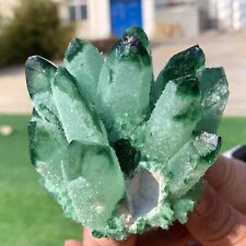 320G Newly discovered green phantom quartz crystal cluster minerals picture