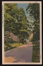 Greetings from Grand Gorge New York Postcard NY 1939 Delaware County Curteich picture