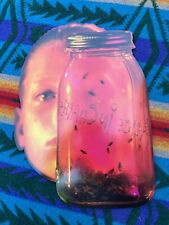 Vtg 1993 Alice In Chains Die Cut Record Store Jar Of Flies Record Promo Grunge picture