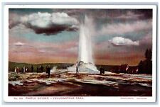 Yellowstone Park Wyoming WY Postcard View Of Castle Geyser Haynes Photo c1910's picture