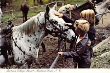 NC Fontana Village Resort Leopard Appaloosa Horse @ Stable 4x6 postcard CT34 picture