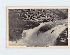 Postcard Salmon Jumping on the Columbia River picture