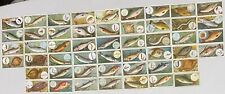 FISH: Complete Set of FIFTY 114 Year Old FISHING Cards picture