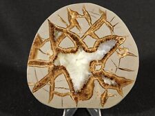 Polished Utah SEPTARIAN Nodule With a Neat Lightning Like Pattern 177gr picture