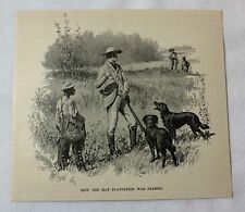 1889 magazine engraving ~  HOW THE MAY PLANTATION WAS FARMED in Georgia picture