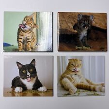 4PC Funny Cat Magnets | 3” X 2” Magnet for Fridge Kitchen picture