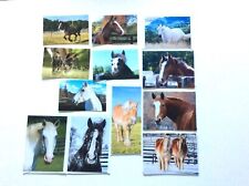 HUGE HORSE Stationary *Lot of 12* picture