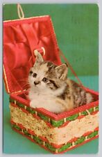 Postcard Kitty in a sewing basket Cat Kittens picture