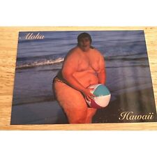 Vintage Phil Maters Aloha From Hawaii Islands Postcard Sku 0212 picture