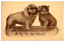 1913 A Fig for the World, Weird Dog and Cat Sitting Together, Postcard picture