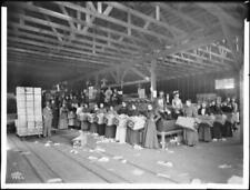 Interior of packing house probably Covina California Old Photo picture