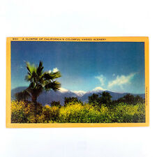 Postcard California CA 1940s Palm Tree Snow Mountain Unposted Linen picture