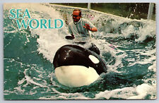A930 Shamu World Famous Killer Whale Show Performing At Sea World Vtg Postcard picture