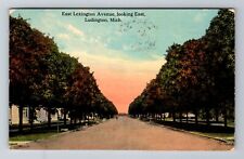 Ludington MI-Michigan, East Lexington Avenue Looking East c1915 Vintage Postcard picture